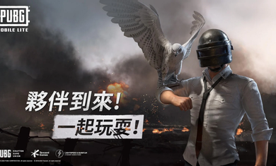 绝地求生lite截图