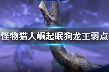 《怪物猎人崛起》眠狗龙王的弱点在哪
