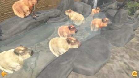 水豚温泉截图