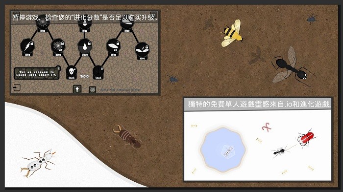 蚂蚁进化2d版截图