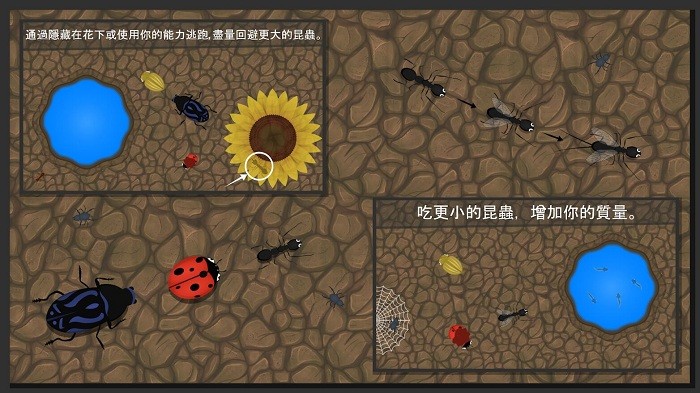蚂蚁进化2d版截图