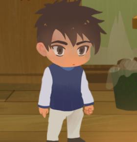 青春猪头小学生的寒假生活