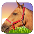 Ride Horse 3D