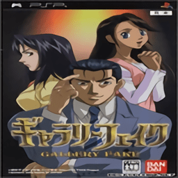 psp赝品画廊