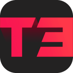 代号T3