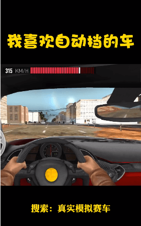 真实模拟赛车下载截图