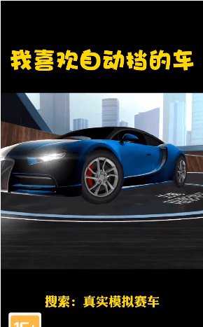 真实模拟赛车下载截图