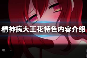 《精神病大王花》好玩吗