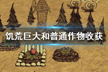 《饥荒联机版》巨大作物收获好吗