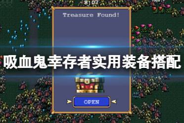 《吸血鬼幸存者》装备怎么搭配