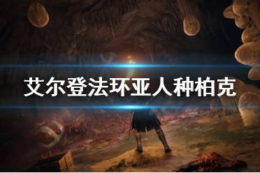 《艾尔登法环》亚人种柏克有什么用