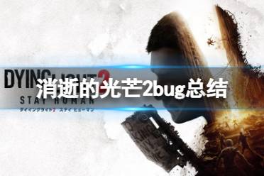 《消逝的光芒2》bug有哪些