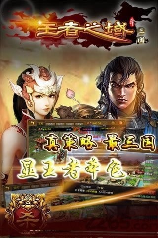 三国王者之域截图
