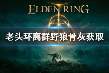 《艾尔登法环》离群野狼骨灰怎么获得 老头环离群野狼骨灰获取方法