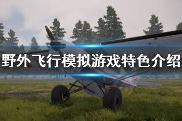 《野外飞行模拟》好玩吗