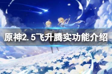 《原神》2.5飞升腾实有什么用