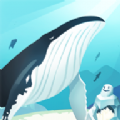 HELLO WHALE