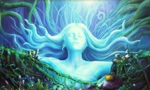 魔法大陆