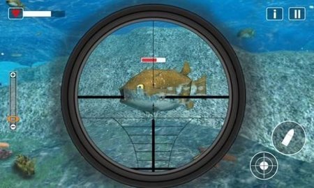 海底动物射击截图