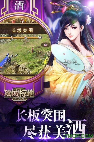 飞流攻城掠地截图
