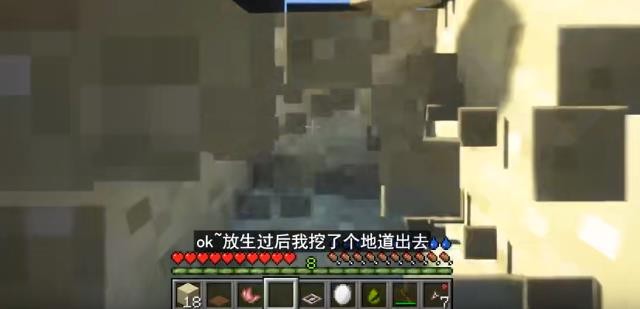 我的世界荒岛余生100天截图