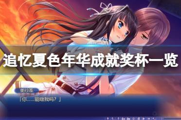 《追忆夏色年华》成就有什么