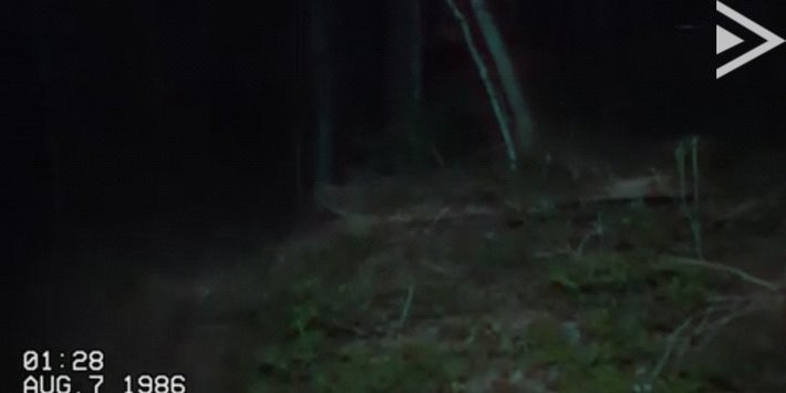 苗条的男人3截图