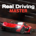 Real Driving