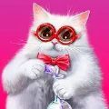 可爱的猫