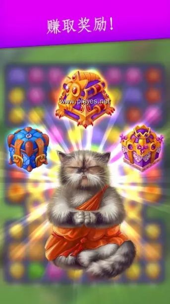 可爱的猫截图