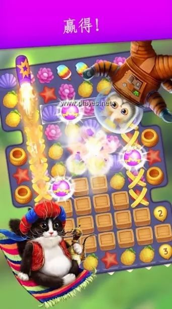 可爱的猫截图