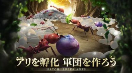 蚁族地下王国截图