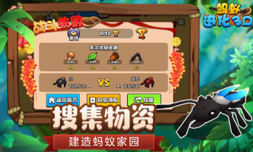 蚂蚁进化