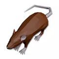 Mouse for Cats 3D