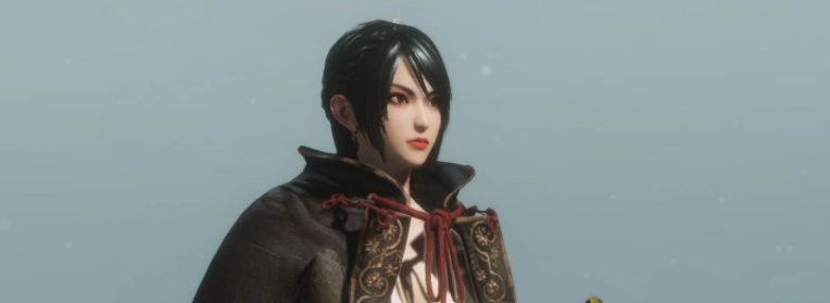 《只狼：影逝二度》三国无双星彩披风完美形态替换狼外观MOD截图