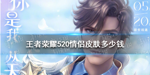 《王者荣耀》520皮肤多少钱