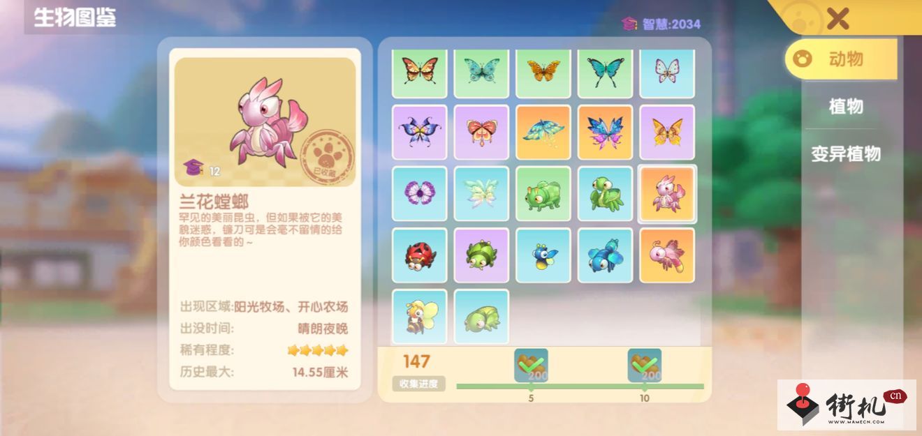 《摩尔庄园手游》兰花螳螂出现位置分享
