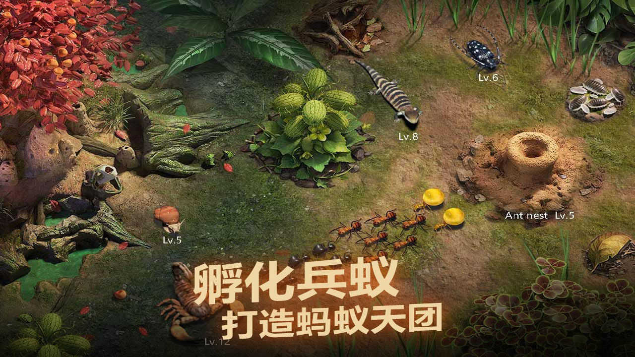 小小蚁国蚂蚁排行榜