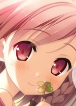 你的日记
