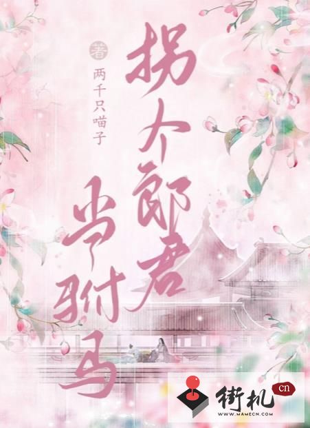 《百变大侦探》拐个郎君当驸马凶手是谁