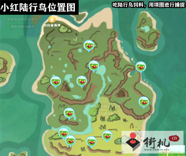 《创造与魔法》小红陆行鸟位置分布图