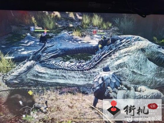 龙之信条2琥珀红龙打法推荐