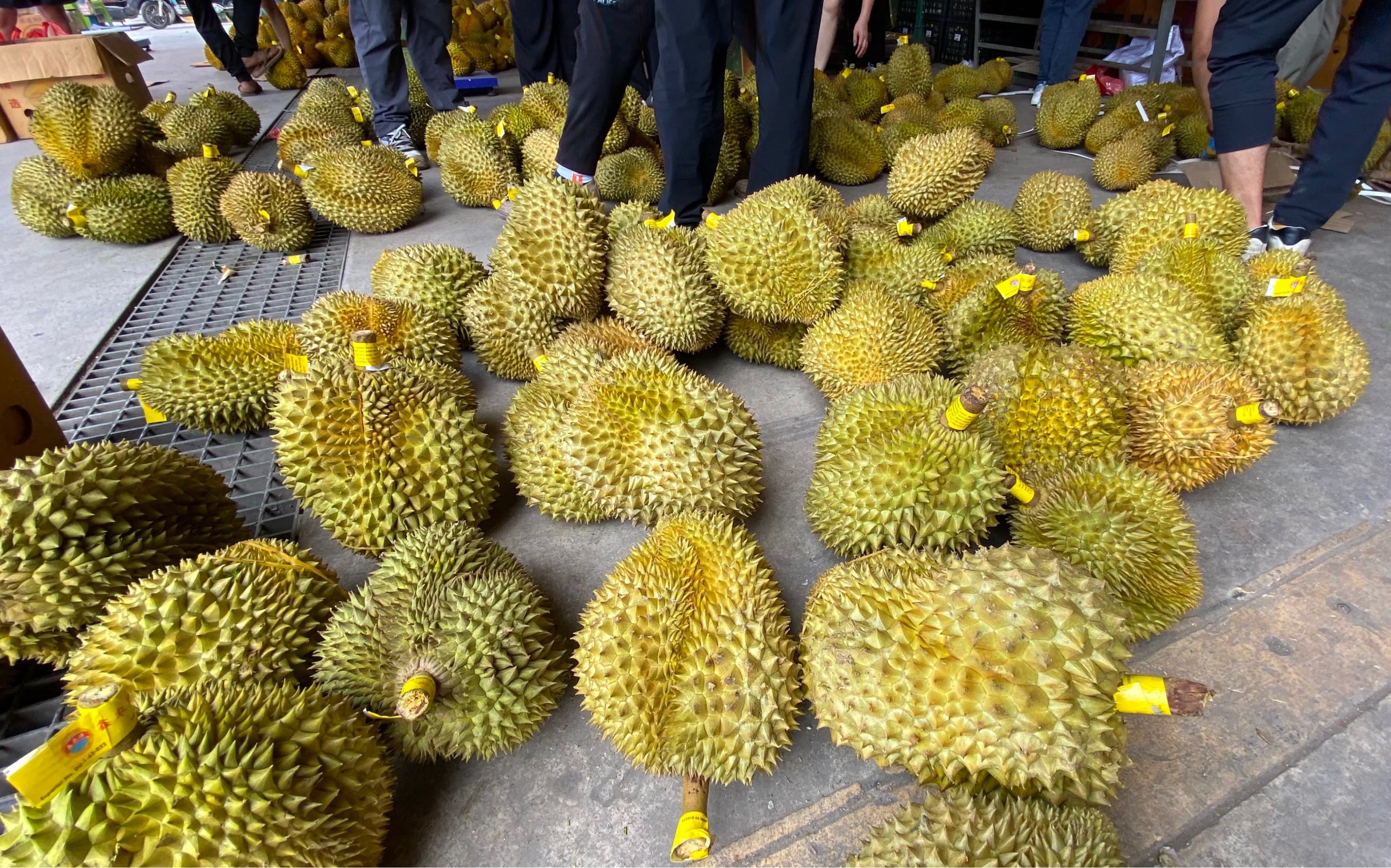 榴莲价格跌破10元一斤，昆明市迎来大规模榴莲上市。